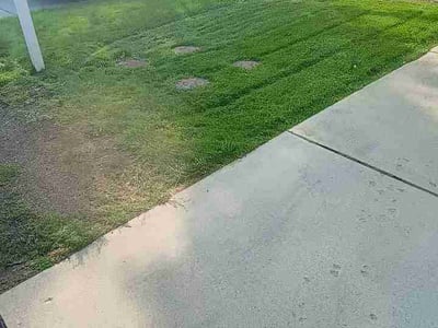 Lawn Care service in Colville, 99114