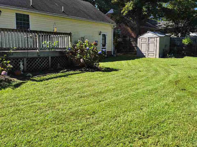 Lawn Care service in Woodford, 22580