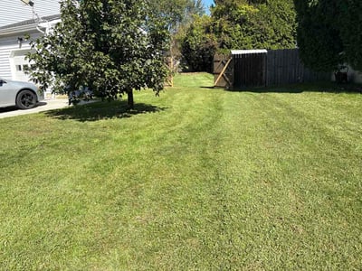 Lawn Care service in ,
