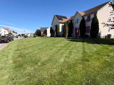 Lawn Care service in ,
