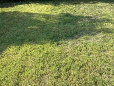 Lawn Care service in Centreville, 20120