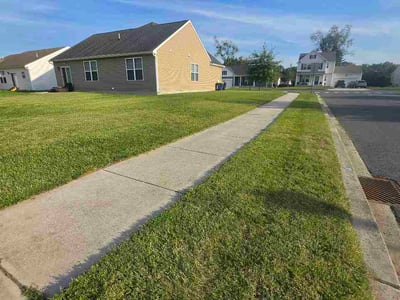 Lawn Care service in ,