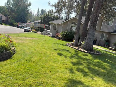 Lawn Care service in Spokane, 99201