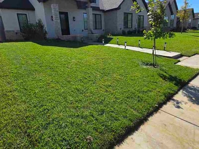 Lawn Care service in Amarillo, 79107