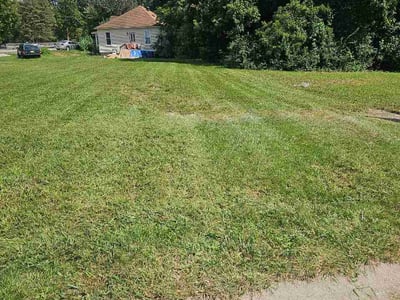 Lawn Care service in Alton, 62002