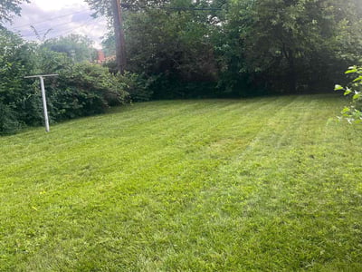Lawn Care service in Oak Park, 48237