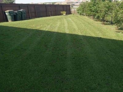Lawn Care service in San Marcos, 78666