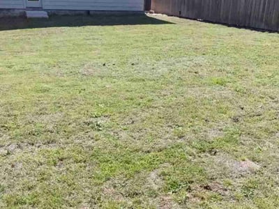 Lawn Care service in San Marcos, 78666