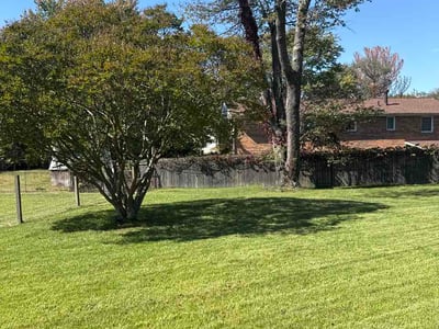 Lawn Care service in Temple Hills, 20748
