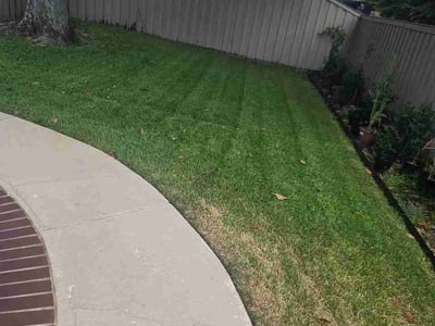 Lawn Care service in Roanoke, 76262