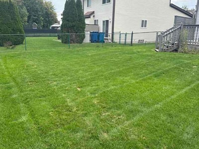 Lawn Care service in Ypsilanti, 48197