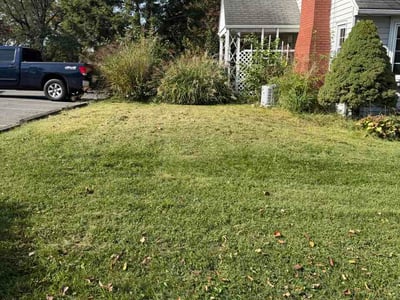 Lawn Care service in Phillipsburg, 08865