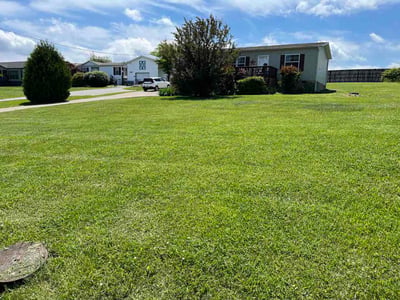Lawn Care service in Gallatin, 37066