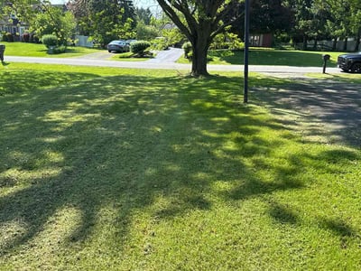 Lawn Care service in Saratoga Springs, 12866