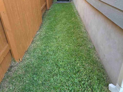 Lawn Care service in Wimberley, 78676