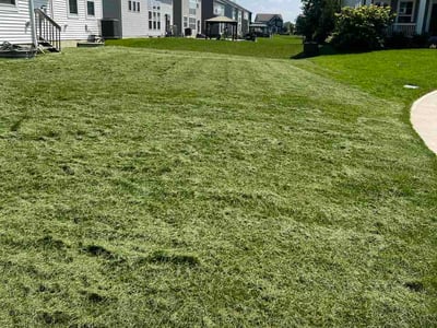 Lawn Care service in Delaware, 43015