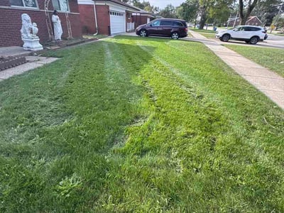 Lawn Care service in Auburn Hills, 48326