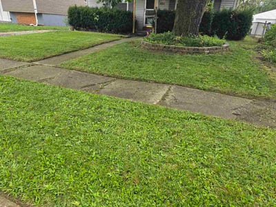 Lawn Care service in Delaware, 43015