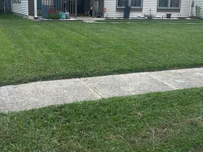 Lawn Care service in Lorton, 22079