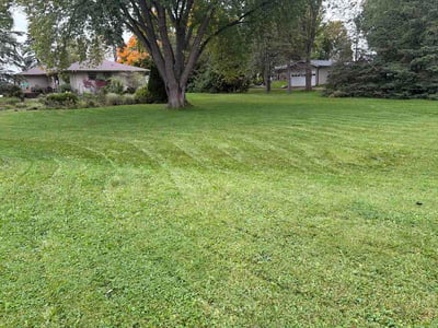 Lawn Care service in Kaukauna, 54130