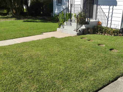 Lawn Care service in Powhatan, 23139