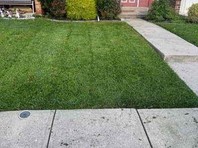 Lawn Care service in Claymont, 19703