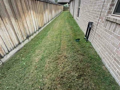 Lawn Care service in Coppell, 75019
