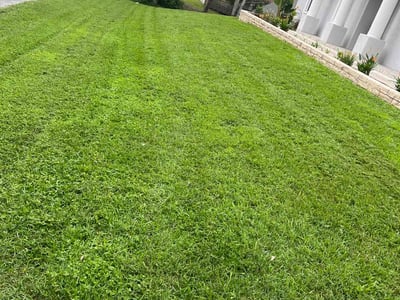 Lawn Care service in Tracy, 95376