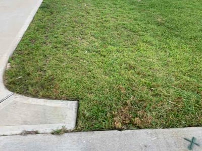 Lawn Care service in Coppell, 75019