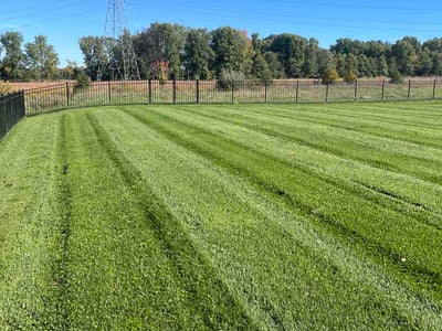 Lawn Care service in Canal Winchester, 43110