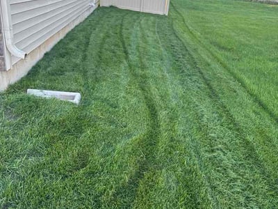 Lawn Care service in Stoughton, 53589