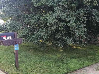Lawn Care service in Waldorf, 20603