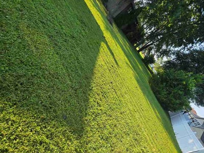 Lawn Care service in Granite City, 62040