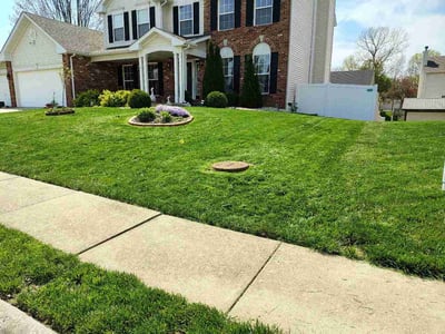 Lawn Care service in Granite City, 62040