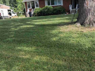 Lawn Care service in Upper Marlboro, 20772