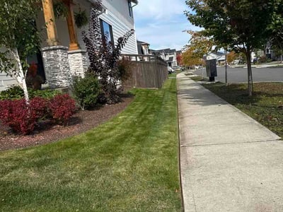 Lawn Care service in Bothell, 98011