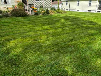 Lawn Care service in North Olmstead, 44070