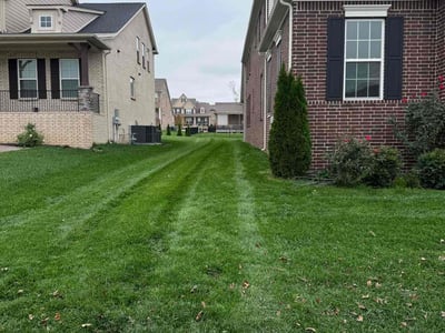Lawn Care service in Nolensville, 37135