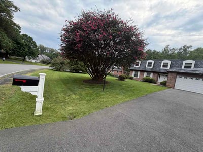 Lawn Care service in Merrifield, 22042