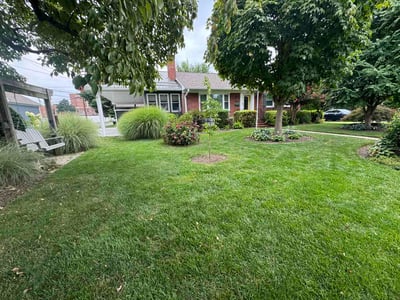 Lawn Care service in Reisterstown, 21136