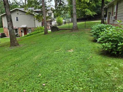 Lawn Care service in Merrifield, 22042