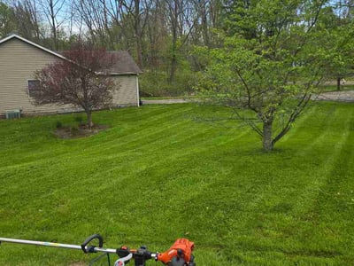 Lawn Care service in Parma Heights, 44130