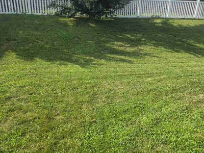 Lawn Care service in Idaho Falls, 83402