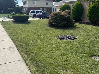 Lawn Care service in Chantilly, 20151