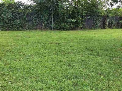 Lawn Care service in Murfreesboro, 37129