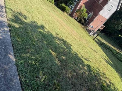 Lawn Care service in Mount Juliet, 37122
