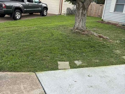 Lawn Care service in Yorktown, 23690