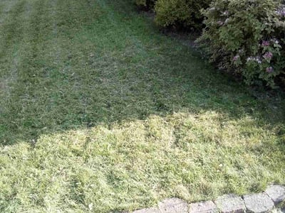 Lawn Care service in Brighton, 48116