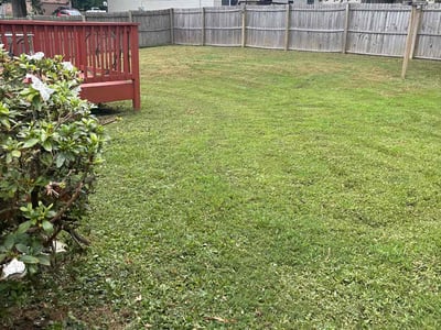 Lawn Care service in Horn Lake, 37160