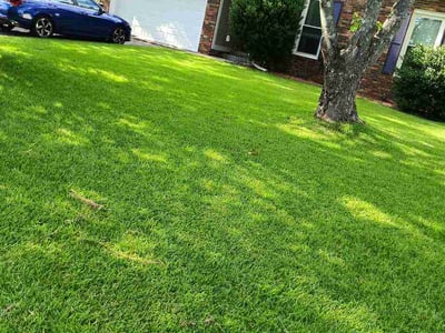 Lawn Care service in Horn Lake, 37160